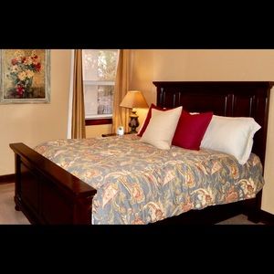 Pottery Barn Queen Duvet Cover (Linen)